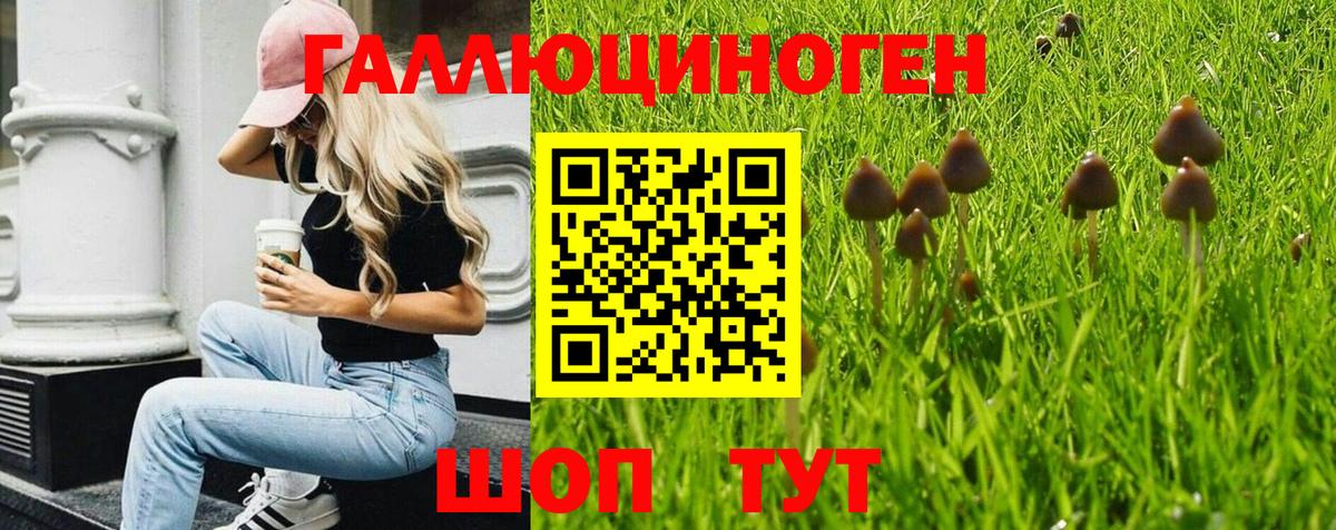 Сухой Лог  Галлюциногенные грибы ЛСД  Вход с VPN 